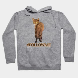 Follow me Hoodie